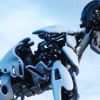 AI Solution Development-C02-5